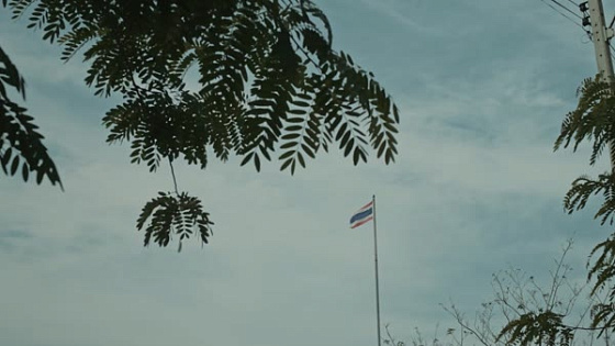 National Commission Anti-Corruption